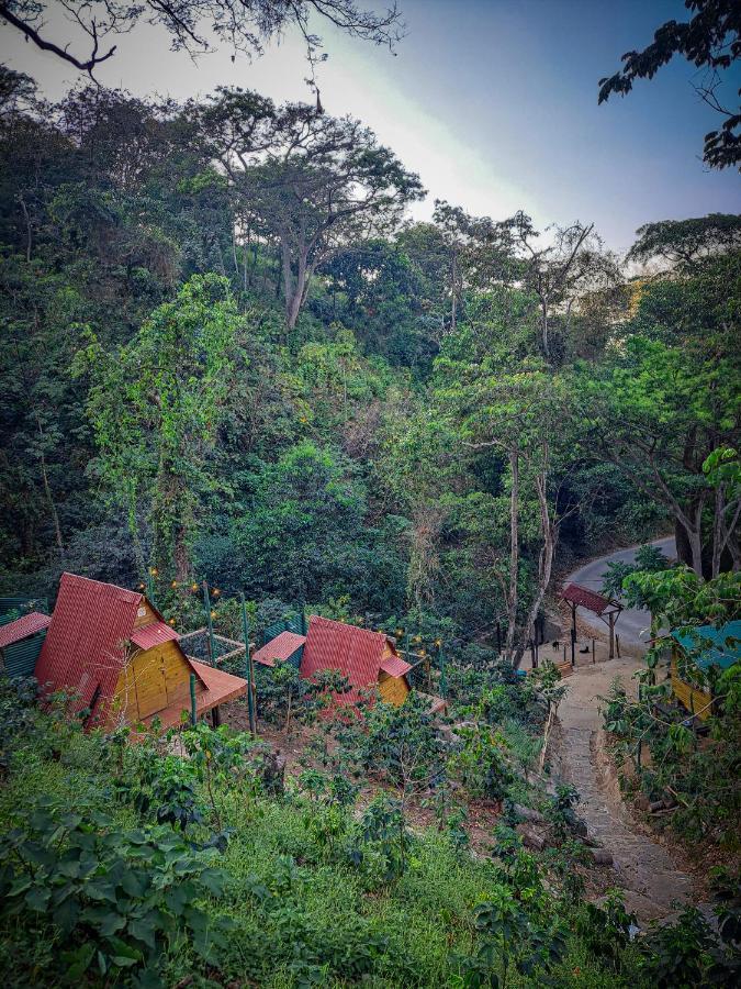 Eco Cabin - Tanoa Minca Ξενοδοχείο Εξωτερικό φωτογραφία